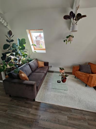 Appartement - Albatrosstraat - Utrecht