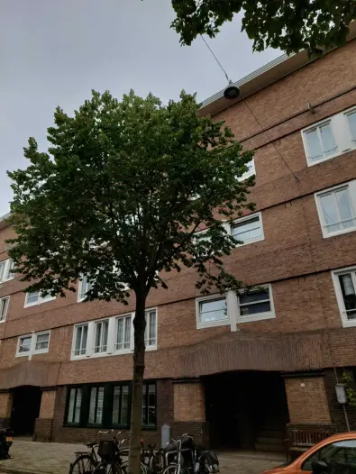 Huis - Van Speijkstraat - Amsterdam