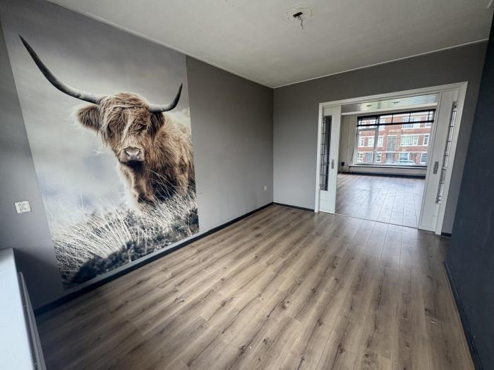 Appartement - Benschoplaan - 's-Gravenhage