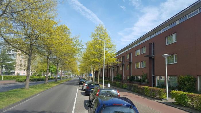 Appartement - Laan van Vlaanderen - Amsterdam