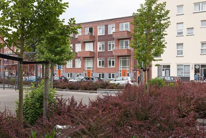 Appartement - Beijerlandsestraat - Rotterdam