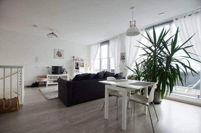 Appartement - Schaatsbaan - Rotterdam