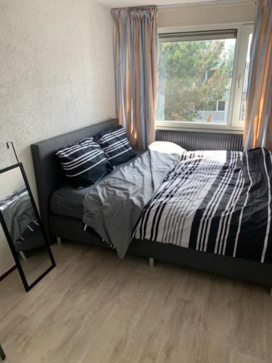 Kamer - Kantershof - Amsterdam