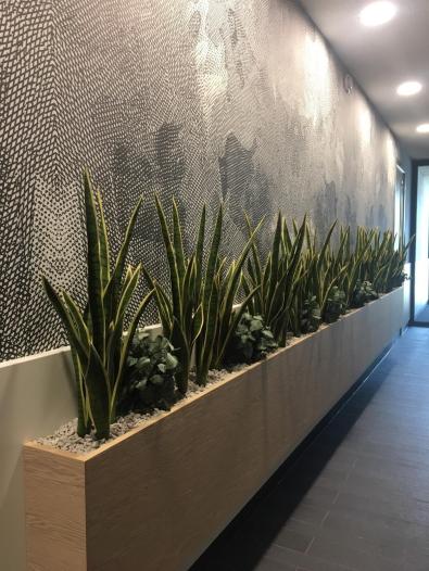 Appartement - Van Linschotenlaan - Hilversum