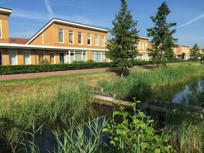 Huis - Tijgervlinder - Nijkerk