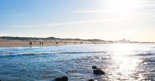 Appartement - Van Slingelandtstraat - 's-Gravenhage