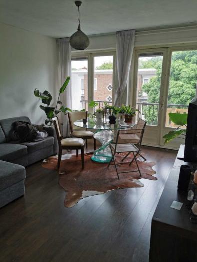 Appartement - Helmholtzstraat - Amsterdam