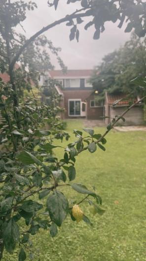 Huis - Dorpsdijk - Rhoon