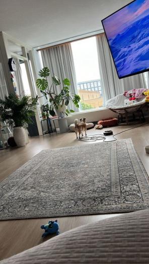 Appartement - Erich Salomonstraat - Amsterdam