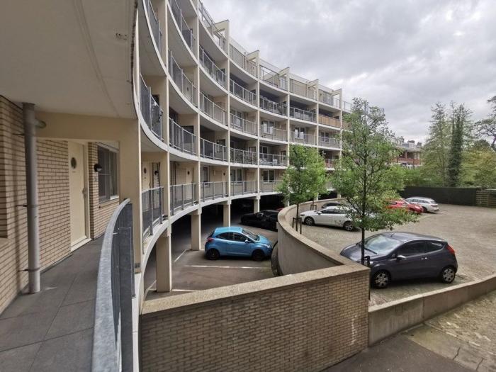 Appartement - Kralingseweg - Rotterdam