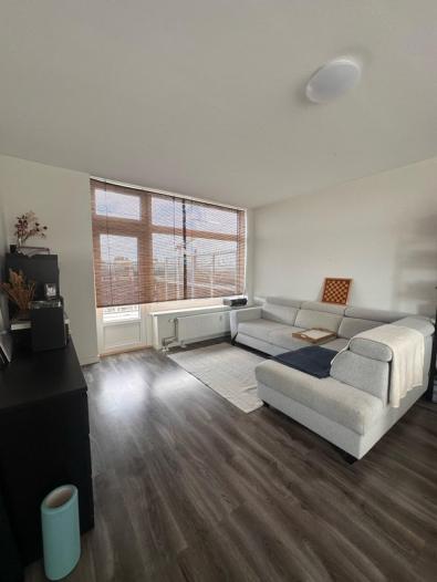 Appartement - Louis Davidsstraat - 's-Gravenhage