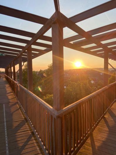 Appartement - Koningskers - Arnhem