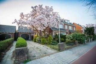 Appartement - Hatertseweg - Nijmegen