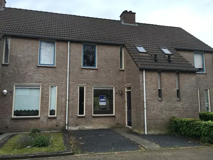 Huis - Kamille - Udenhout