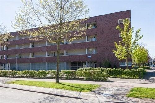 Appartement - Prof. Zonnebloemlaan - Utrecht