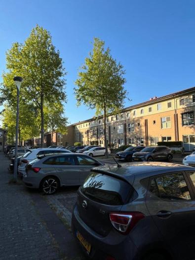 Huis - Sarabande - Nieuw-Vennep