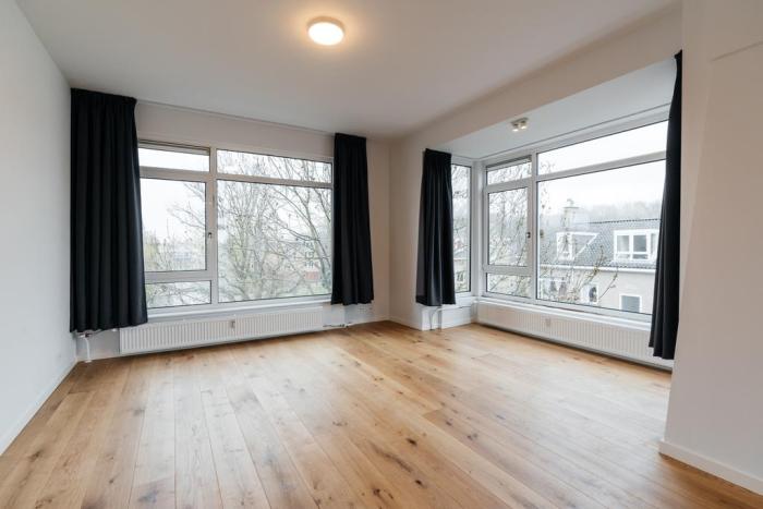 Appartement - Anna Paulownastraat - 's-Gravenhage