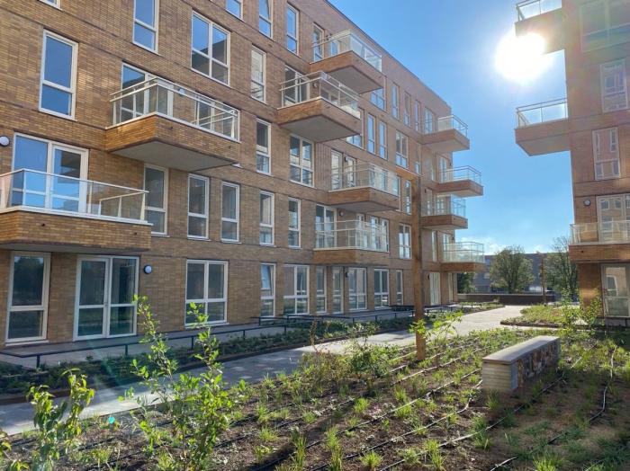 Appartement - Teakhout - Zaandam