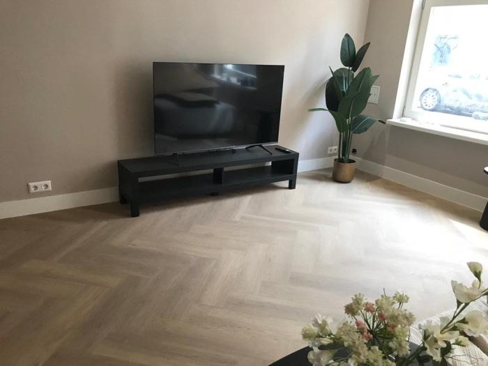 Appartement - Heemskerckstraat - 's-Gravenhage