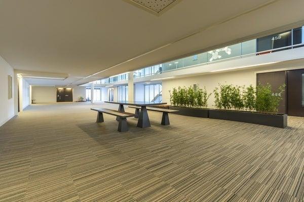 Appartement - Emmy Andriessestraat - Amsterdam