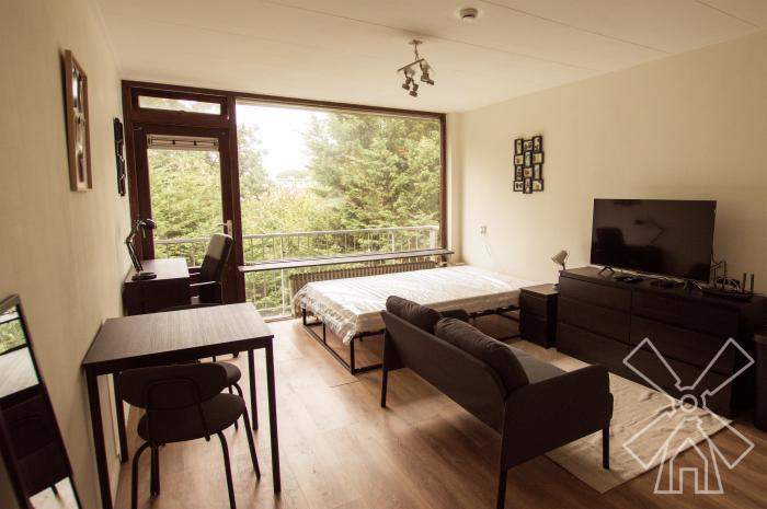 Kamer - Elviraland - 's-Gravenhage