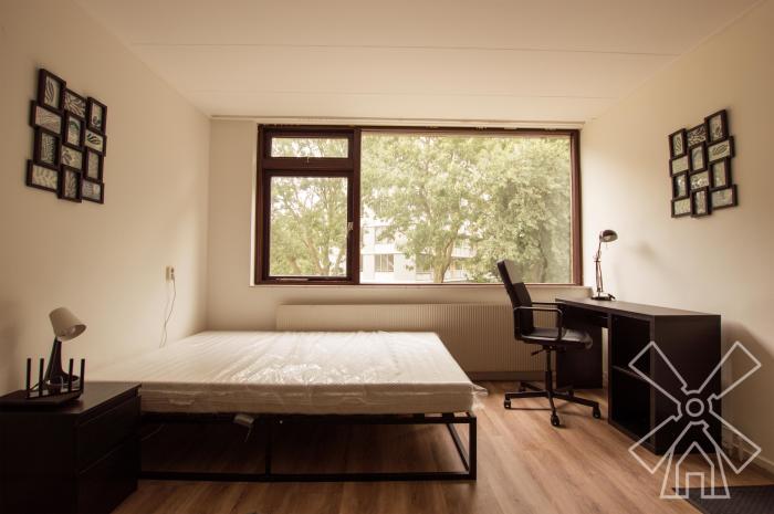 Kamer - Elviraland - 's-Gravenhage