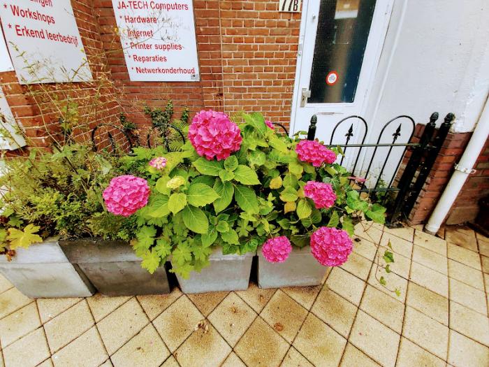 Kamer - Steynlaan - Zeist