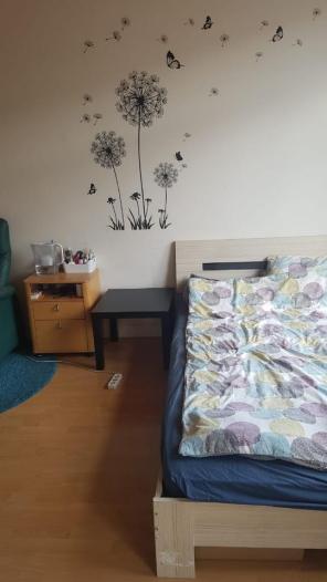 Kamer - Spaarnestraat - 's-Gravenhage