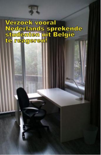 Kamer - Gouden Leeuw - Amsterdam