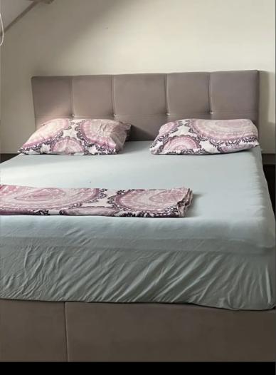 Kamer - Tjotterlaan - Zaandam