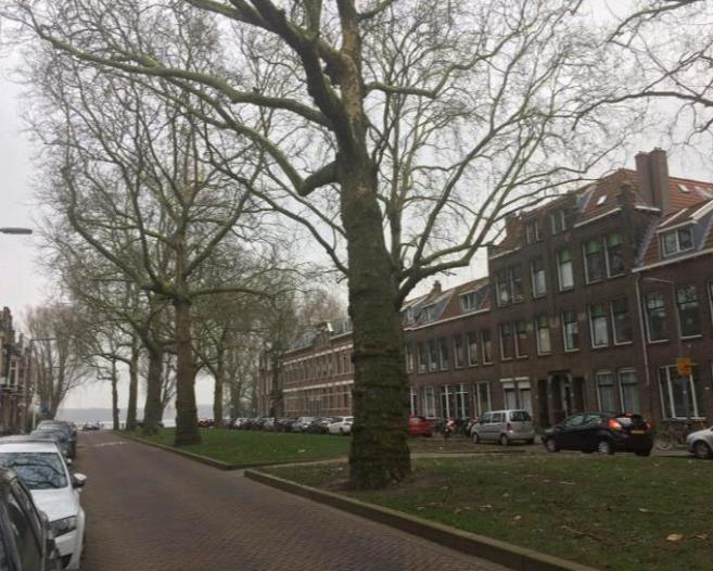 Kamer - Jericholaan - Rotterdam