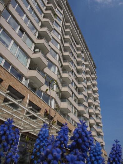 Appartement - Koningin Wilhelminaplein - Amsterdam