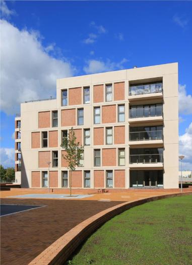 Appartement - Teakhout - Zaandam