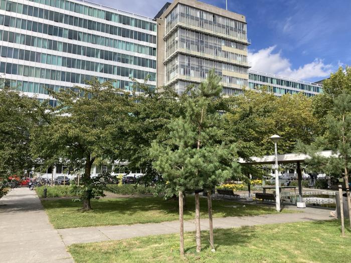 Appartement - Bos en Lommerplantsoen - Amsterdam