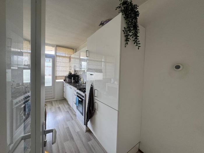 Kamer - Raephorststraat - Rotterdam