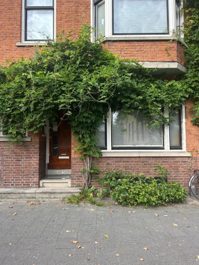 Huis - Breitnerstraat - Rotterdam
