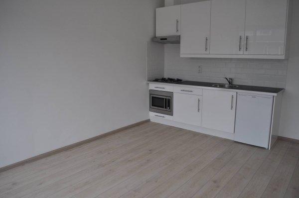 Appartement - De Genestetlaan - 's-Gravenhage