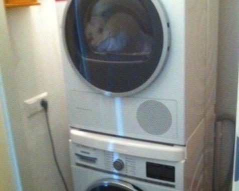 Kamer - Willy Sluiterstraat - Amsterdam