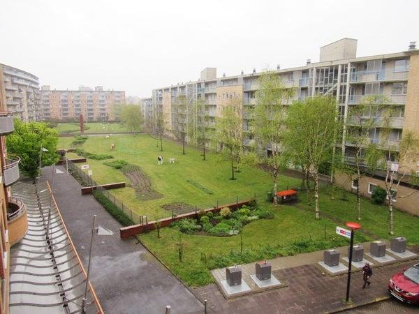 Appartement - Belgiëplein - Amsterdam