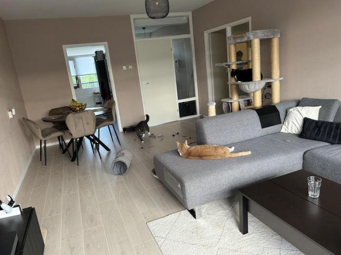 Appartement - Cleijn Duinplein - Katwijk