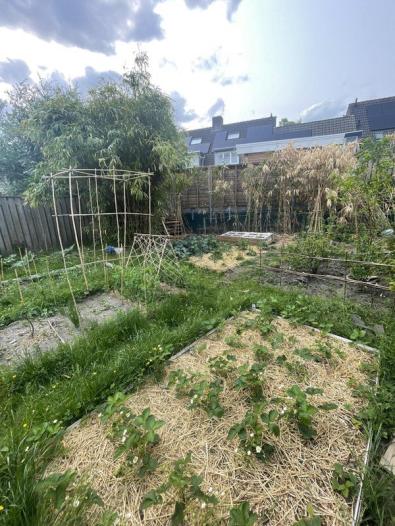 Huis - Lieshoutseweg - Sint-Oedenrode