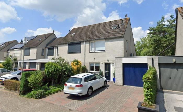 Huis - Papegaai - Breda