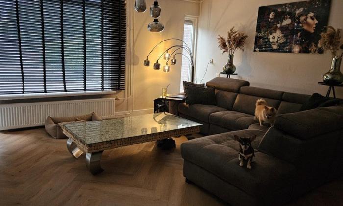 Huis - Duke Ellingtonrode - Zoetermeer