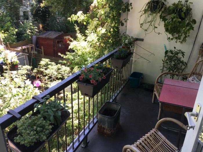 Appartement - Vrolikstraat - Amsterdam