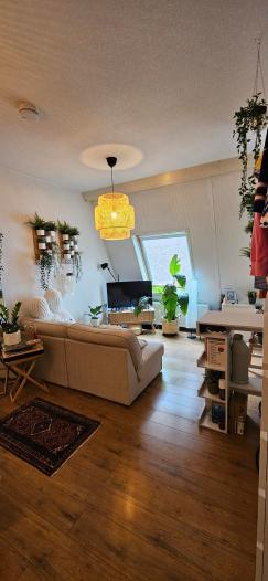 Kamer - Rademarkt - Groningen