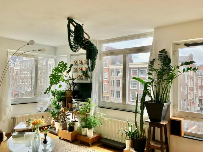 Appartement - Eerste Looiersdwarsstraat - Amsterdam
