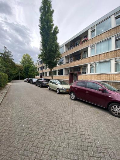 Appartement - Mendelssohnlaan - Rotterdam