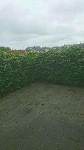 Appartement - Brinklaan - Groningen