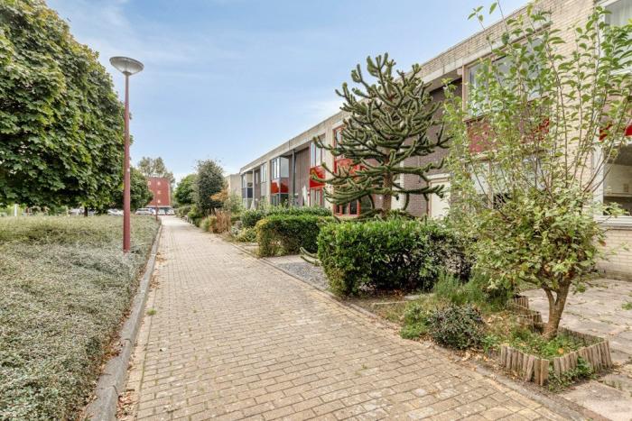 Huis - Seinmolen - Bleiswijk