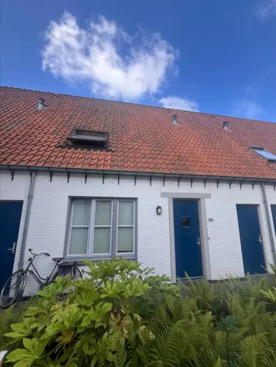 Huis - Johan de Wittstraat - Zaltbommel